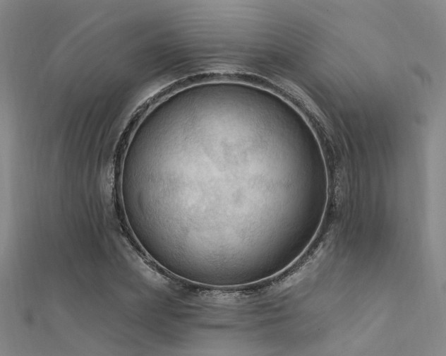 X0000112350831200908131426