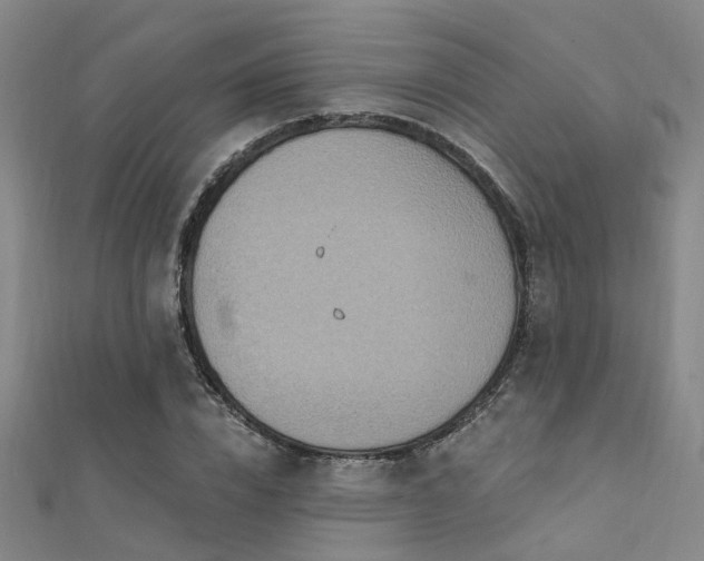 X0000112350832200908131426