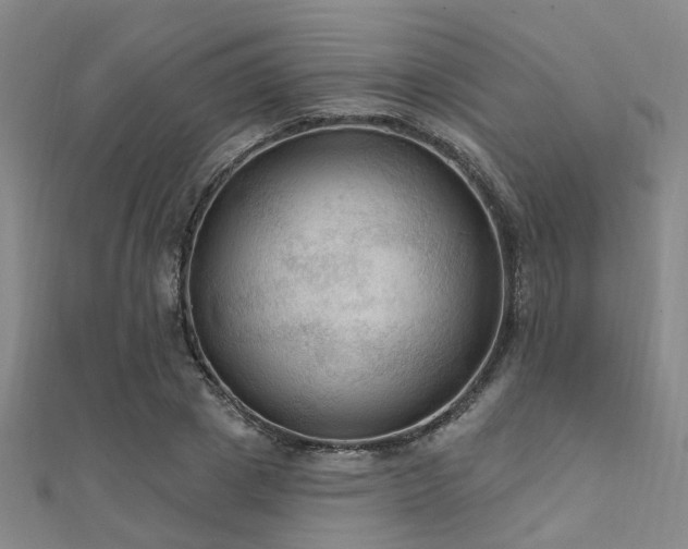 X0000112350833200908131426