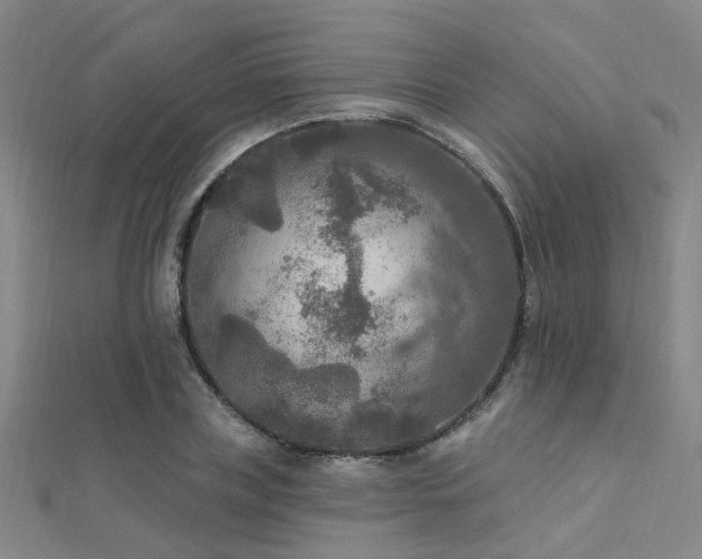 X0000112350835200908131426