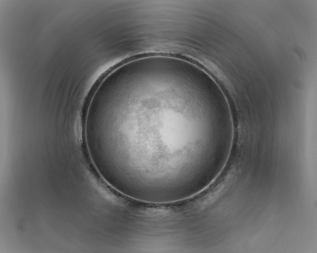 X0000112350838200908131426
