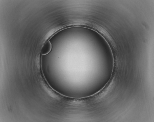 X0000112350842200908131426