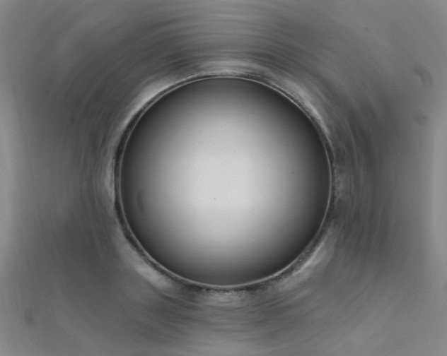 X0000112350843200908131426