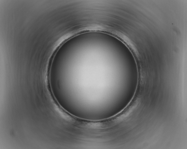 X0000112350845200908131427