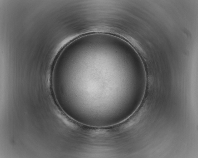 X0000112350846200908131427