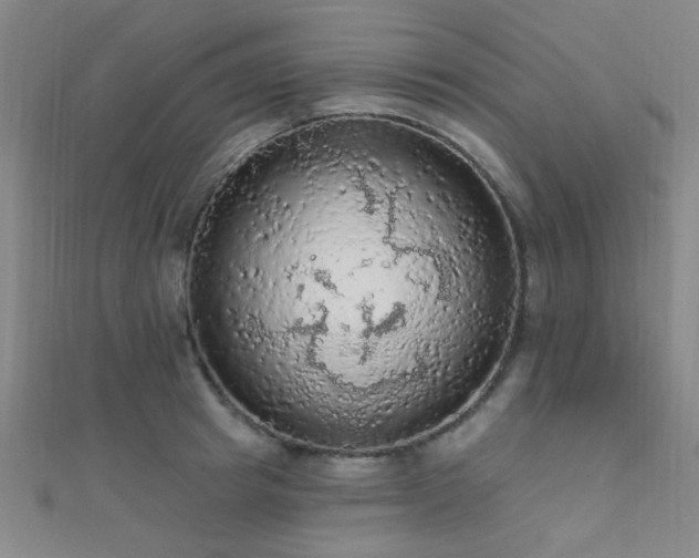 X0000112350849200908131427