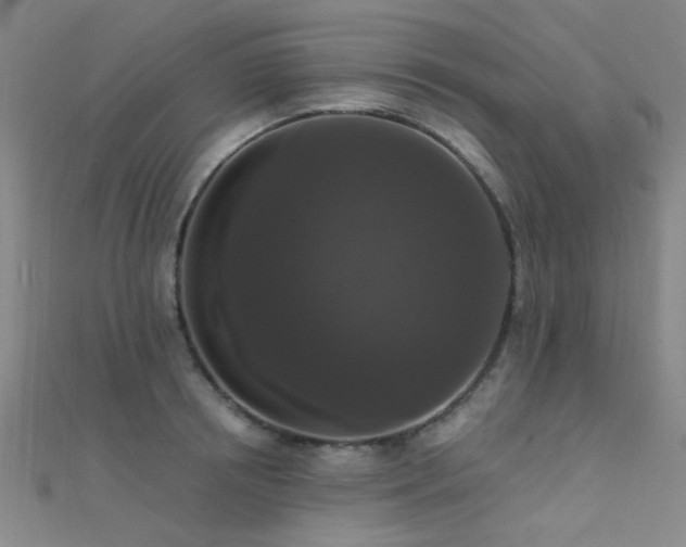 X0000112350850200908131427