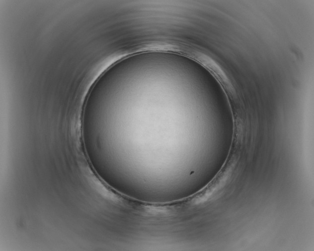 X0000112350852200908131427