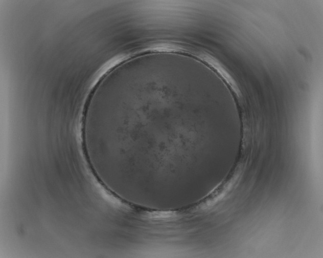 X0000112350853200908131427