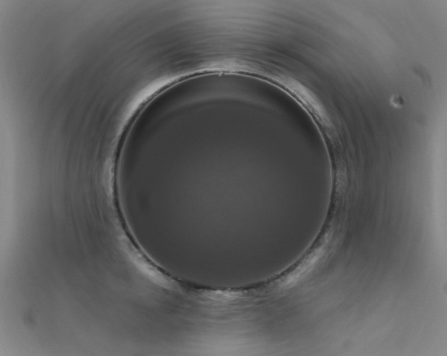 X0000112350854200908131427