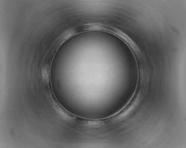X0000112350857200908131427