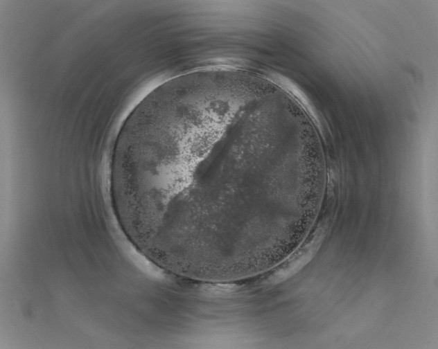 X0000112350859200908131427