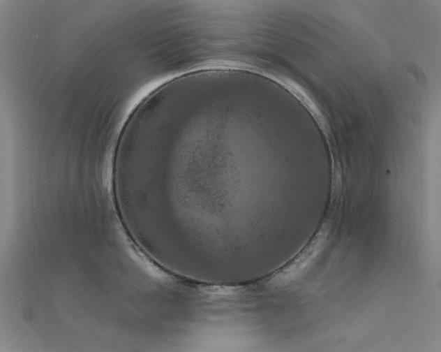 X0000112350862200908131427