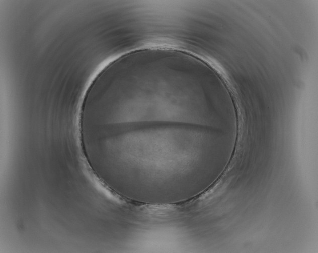 X0000112350864200908131427