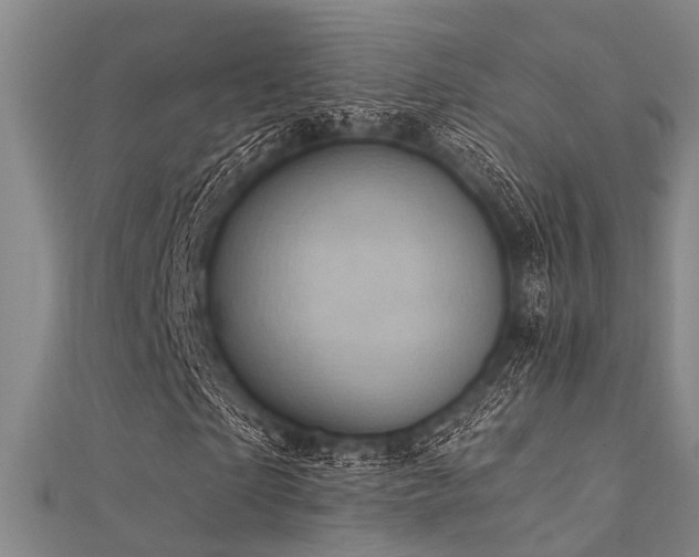 X0000112350865200908131426