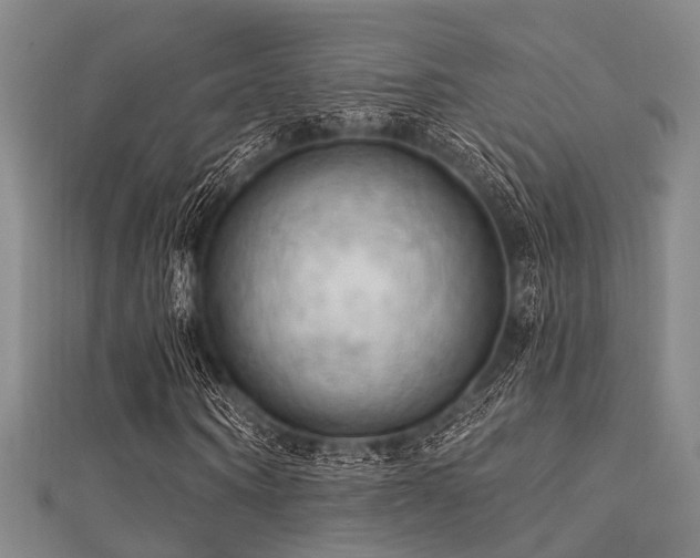 X0000112350866200908131426