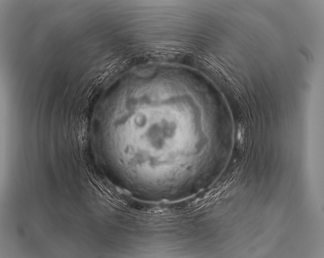 X0000112350867200908131426