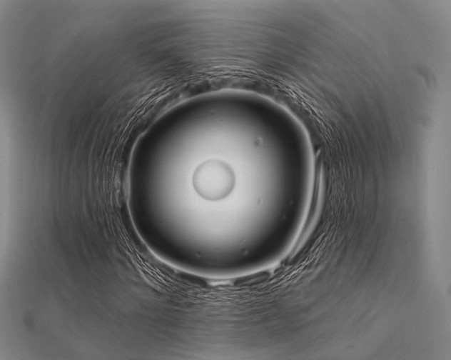 X0000112350868200908131426