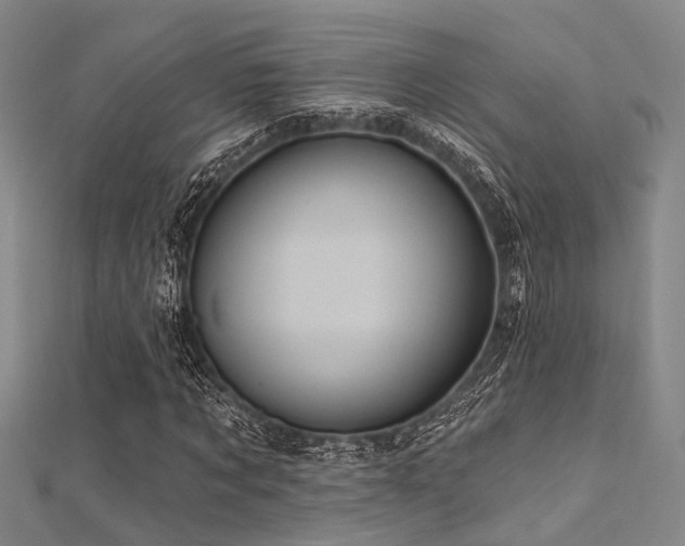 X0000112350869200908131426
