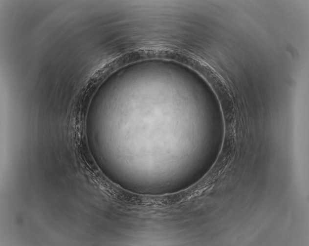 X0000112350870200908131426