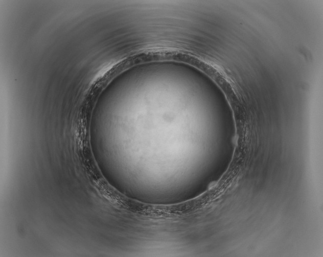 X0000112350871200908131426