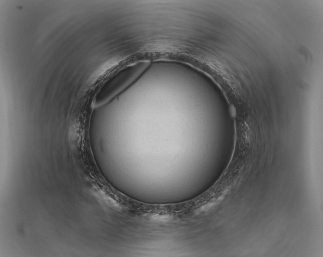 X0000112350872200908131426