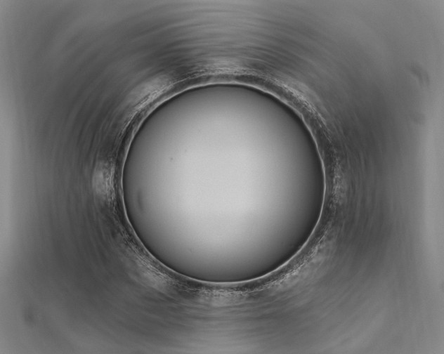 X0000112350873200908131426