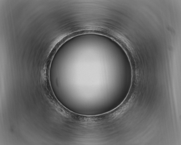 X0000112350875200908131426
