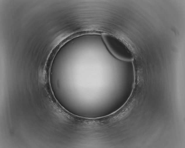 X0000112350876200908131426