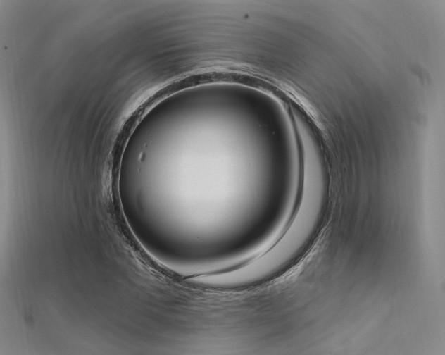 X0000112350877200908131426