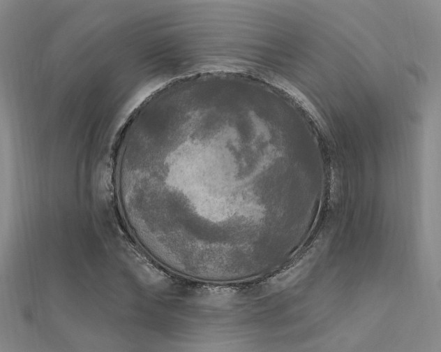 X0000112350878200908131426