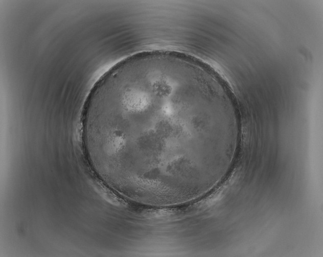 X0000112350879200908131426