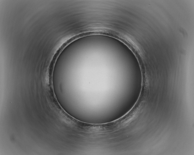 X0000112350883200908131426