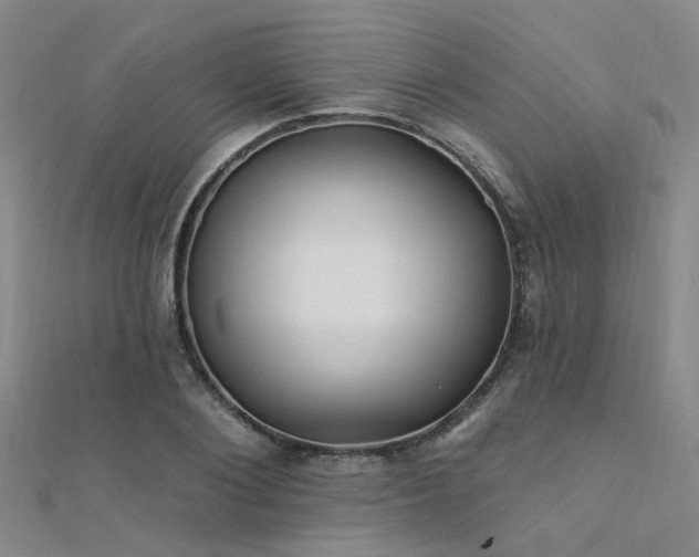 X0000112350884200908131426