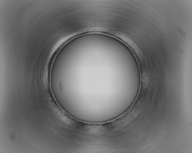 X0000112350886200908131426