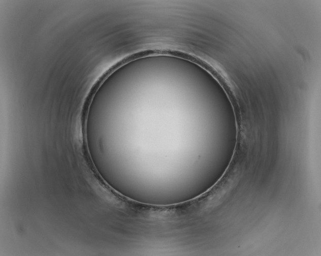 X0000112350887200908131426