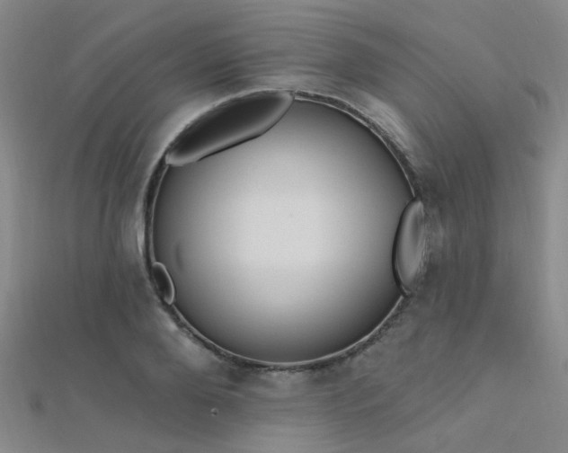 X0000112350888200908131426