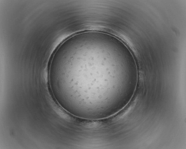 X0000112350891200908131426