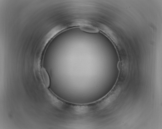 X0000112350893200908131426