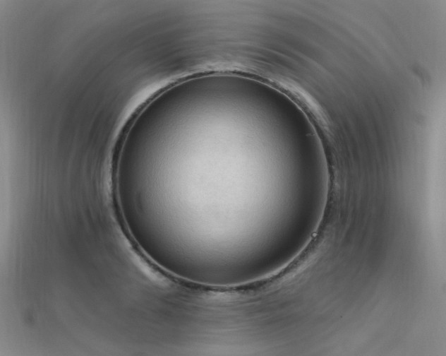 X0000112350894200908131426