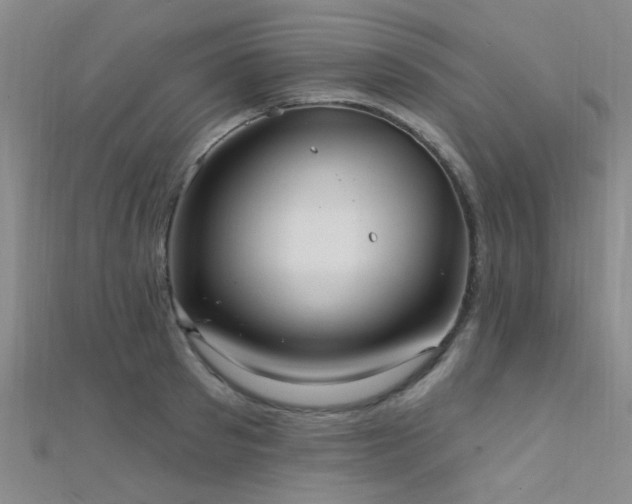 X0000112350897200908131426