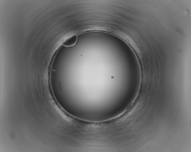 X0000112350898200908131426