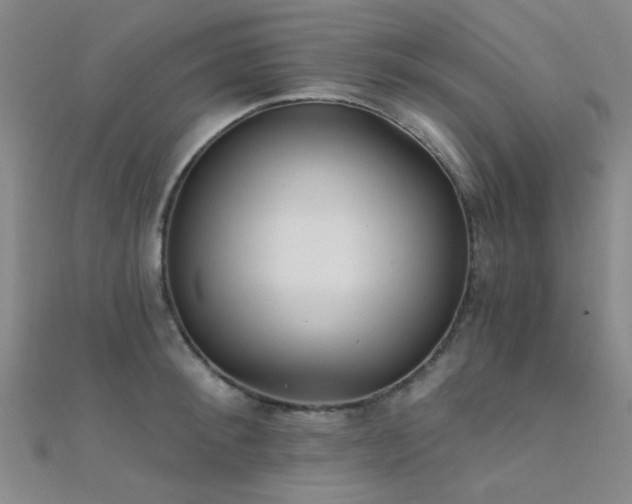 X0000112350900200908131426