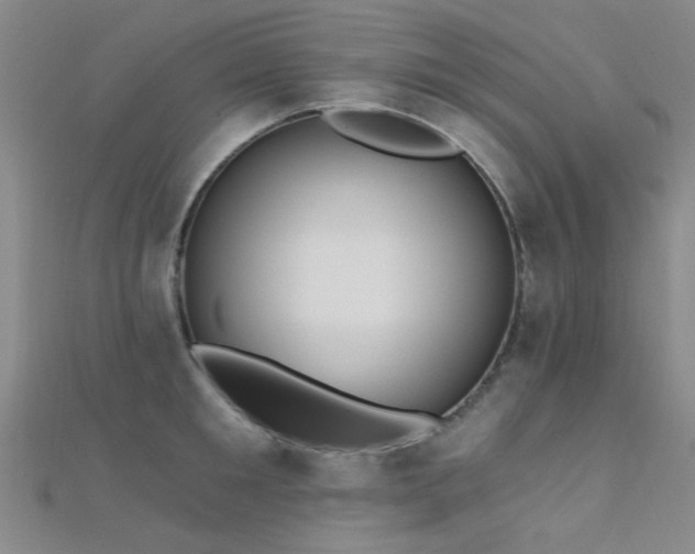 X0000112350901200908131426