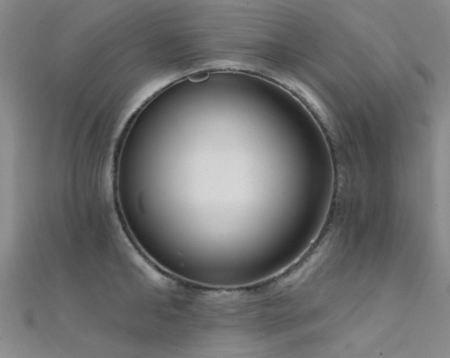 X0000112350902200908131426