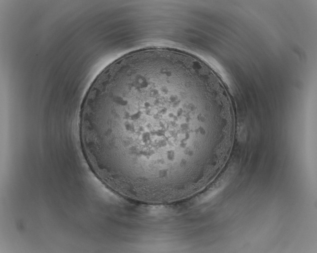 X0000112350903200908131426