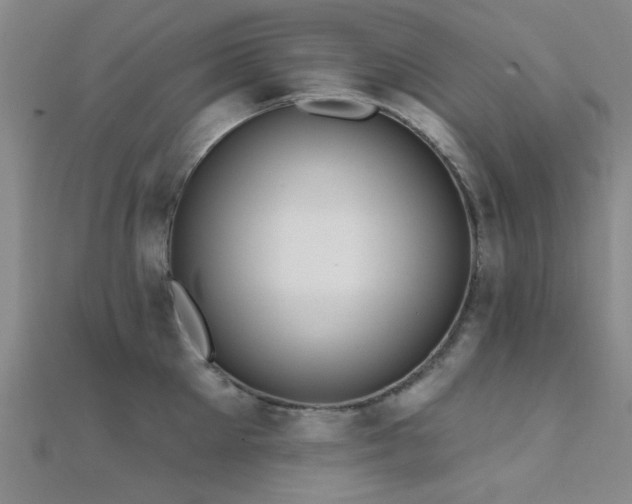 X0000112350905200908131426