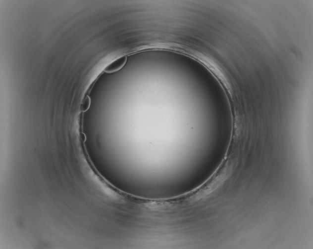 X0000112350906200908131426