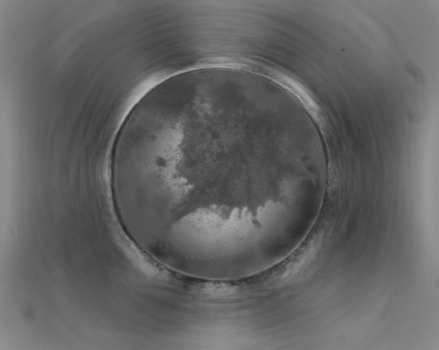 X0000112350907200908131426