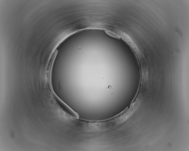 X0000112350908200908131426